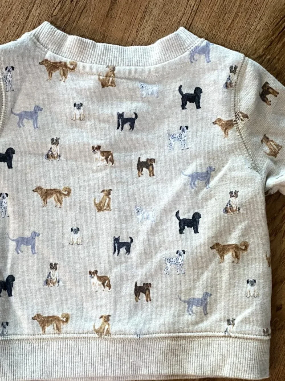 JANIE AND JACK $150 Lot-Horse Cardigan & Dog Sweatshirt & Jogger Set-6-12 M